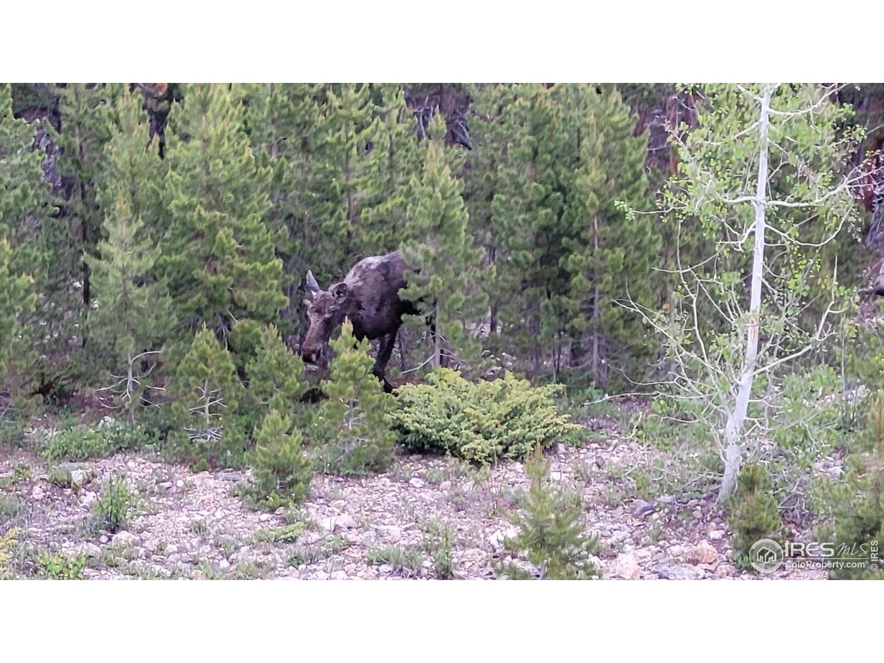 557 Highpoint Circle Black Hawk, CO 80422 - Photo 28 of 32