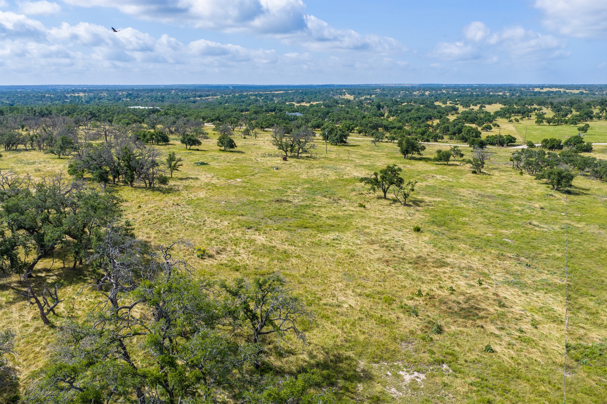 436 Stevens Ranch Road Harper, TX 78631 - Photo 27 of 31 Lush rolling pasture land dotted with mature trees stretches toward the horizon under blue skies.