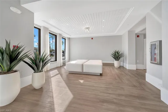 a living room with furniture and a potted plant