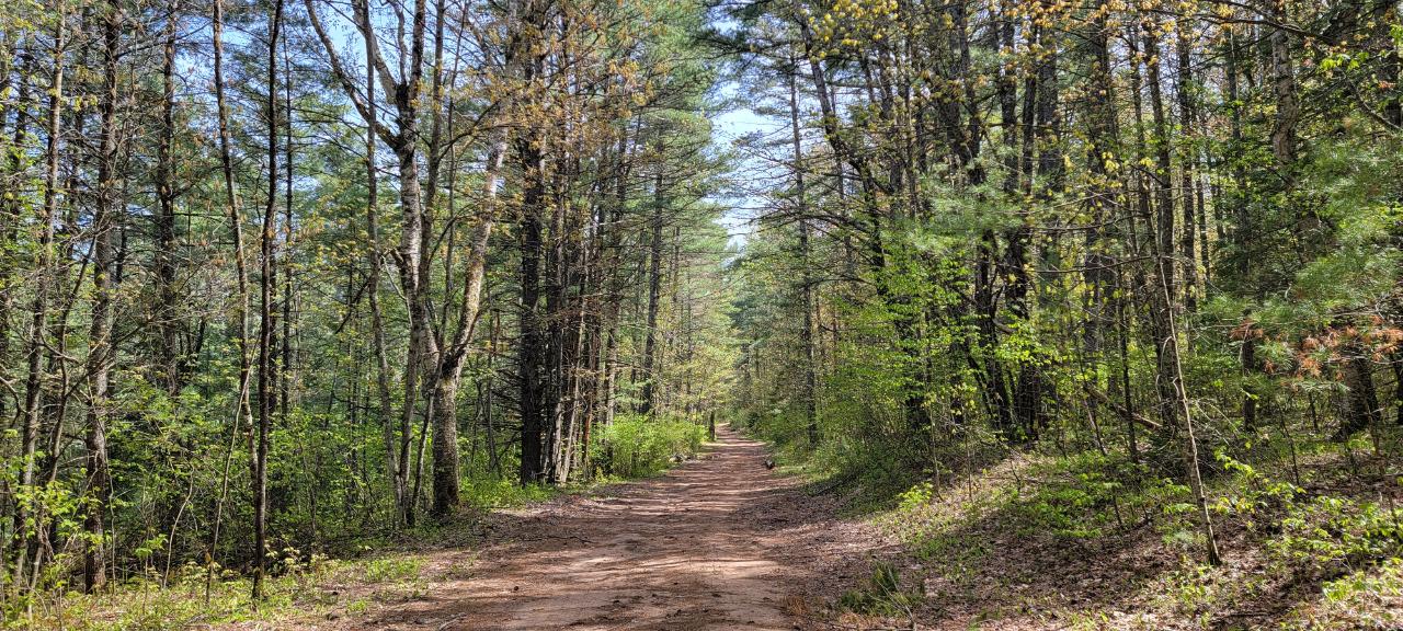 Off Witches Lake Road, Unit LOT 4 Woodruff, WI 54568 - Photo 39 of 39 Gallery Image 39