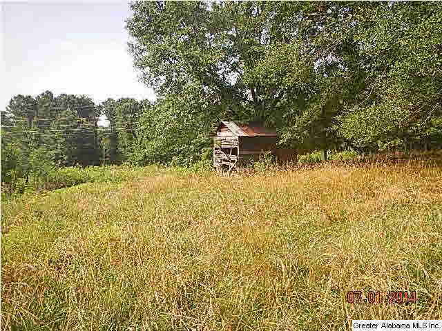 400 Planter Mill Road Parrish, AL 35580 - Photo 4 of 28