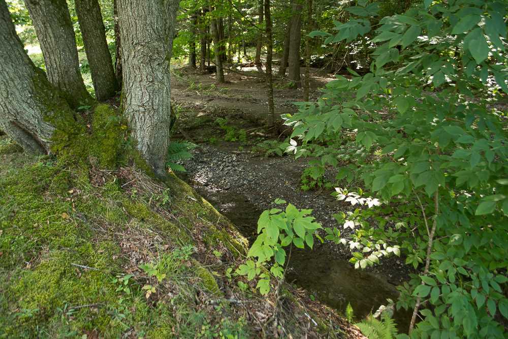 376 Poor Farm Road South Thetford, VT 05075 - Photo 18 of 24
