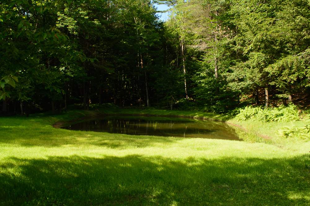 376 Poor Farm Road South Thetford, VT 05075 - Photo 19 of 24