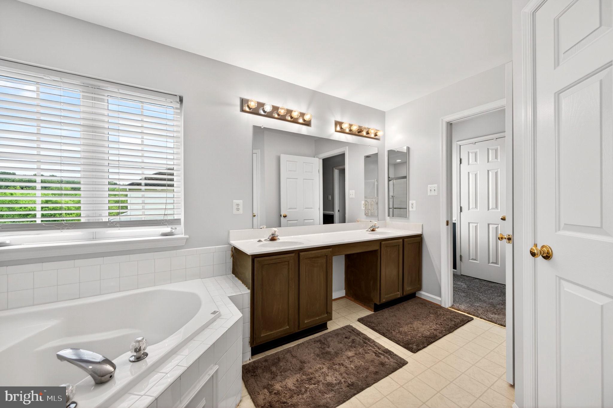 8 North Pointe Terrace Middletown, MD 21769 - Photo 33 of 74 a bathroom with a tub sink and mirror