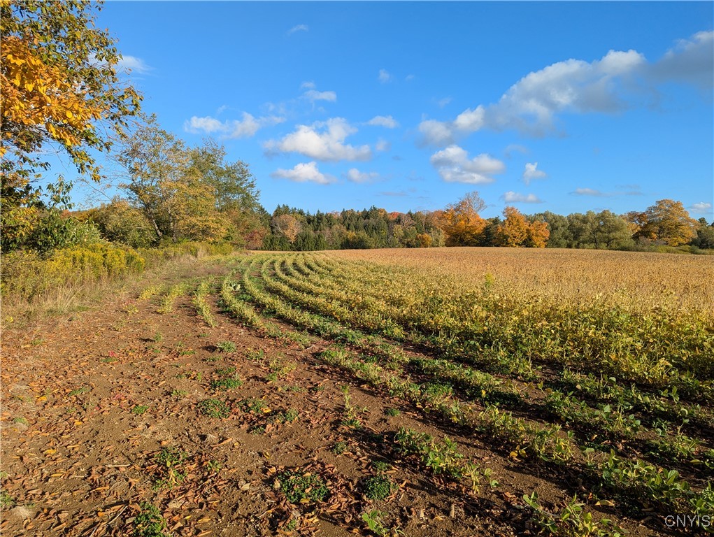 2024 E Road Leyden, NY 13309 - Photo 12 of 16