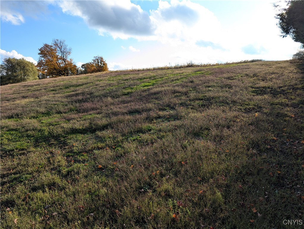 2024 E Road Leyden, NY 13309 - Photo 7 of 16