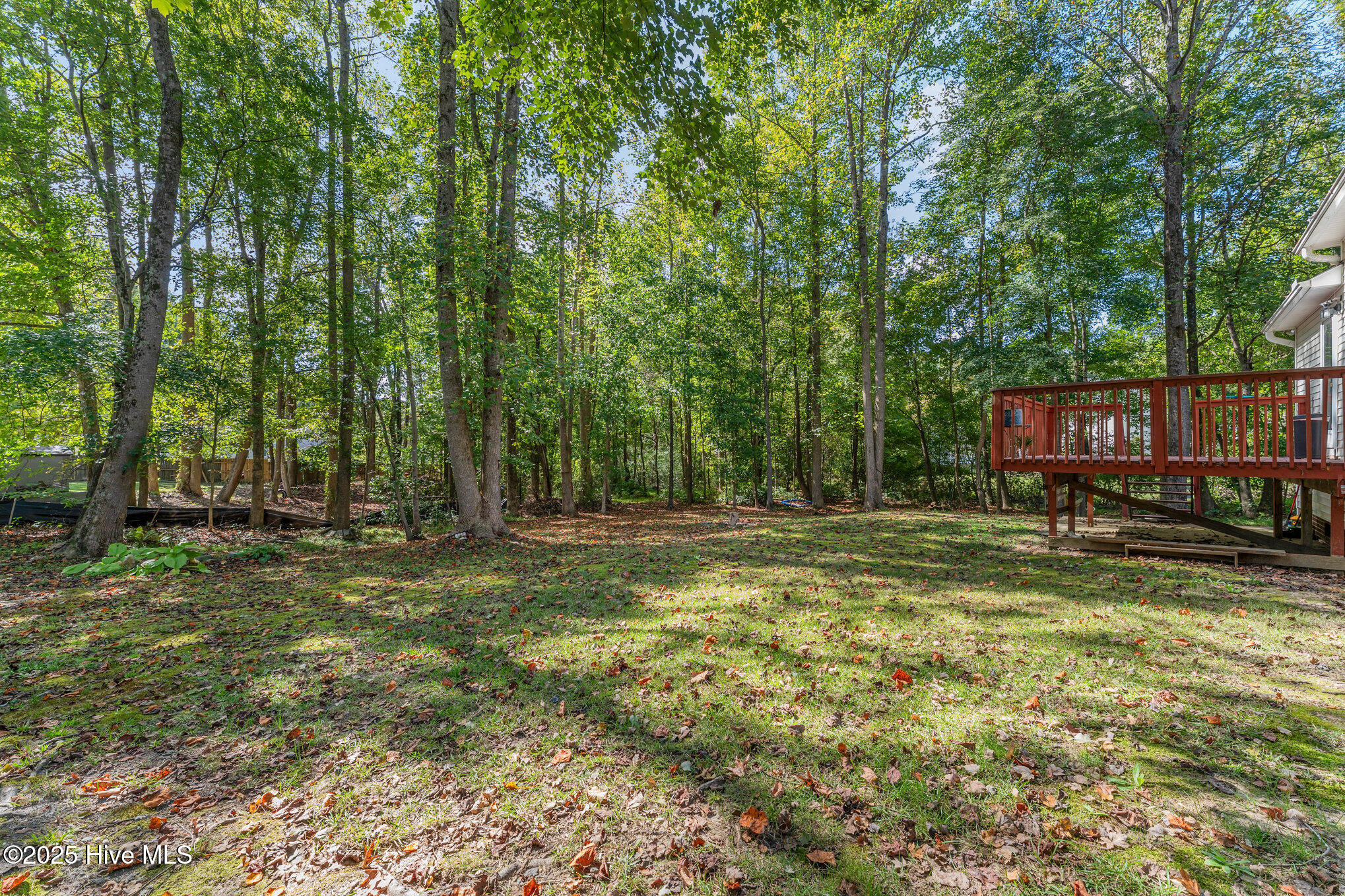 687 West Watson Road Benson, NC 27504 - Photo 18 of 23 022_dsc04490-edit_282