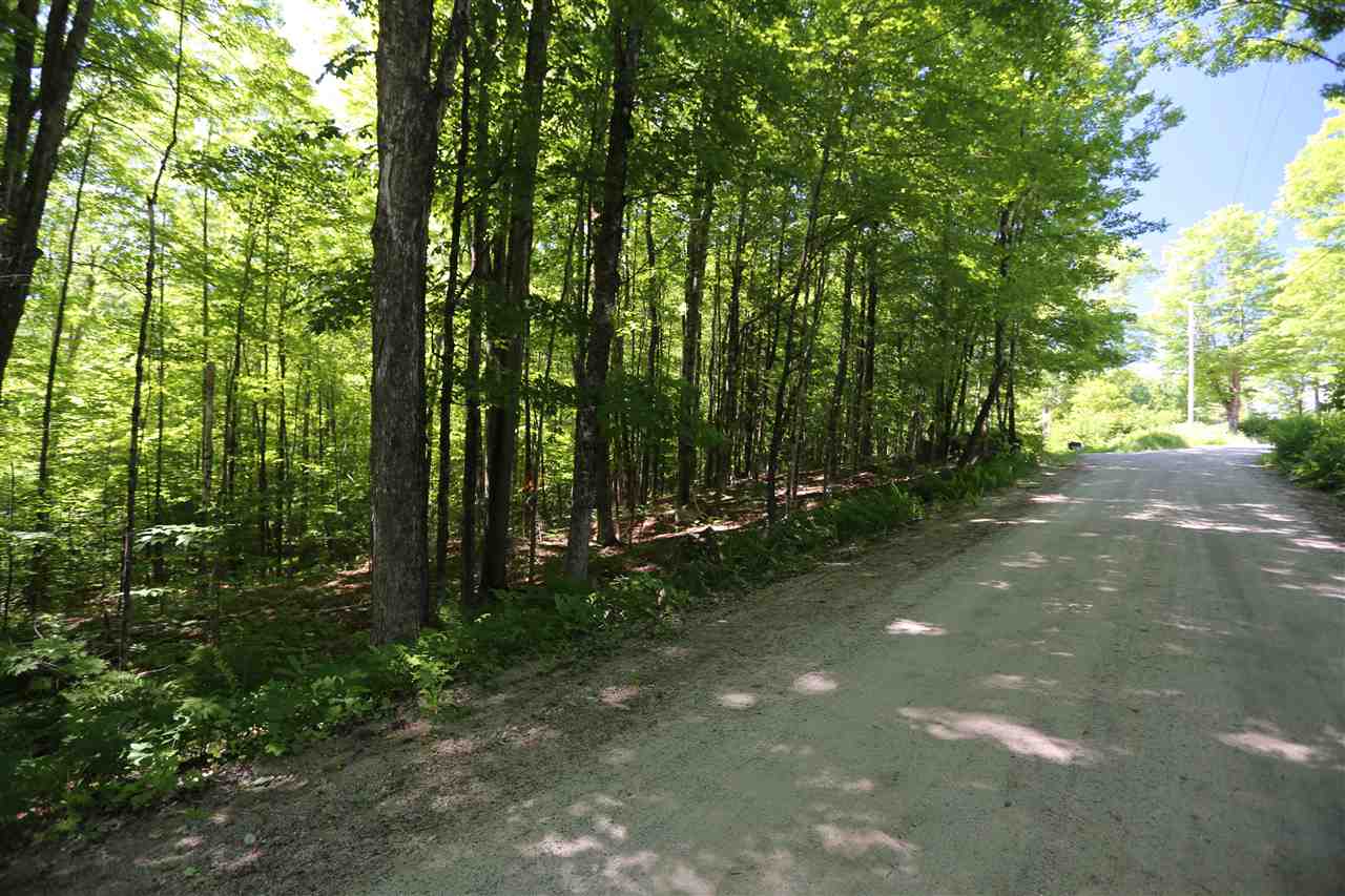 Lot 3 Wiggins Road Danbury, NH 03230 - Photo 3 of 5