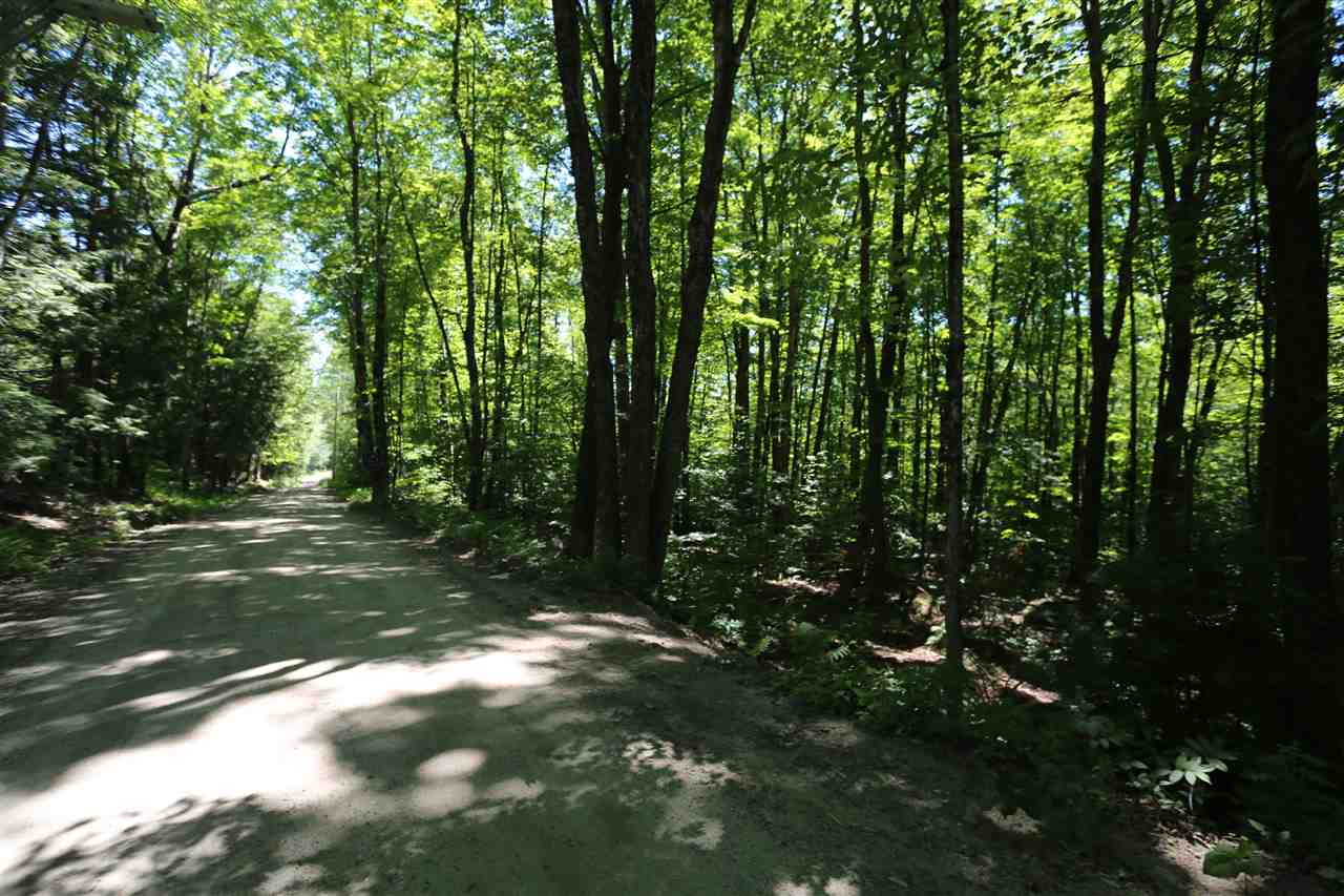 Lot 3 Wiggins Road Danbury, NH 03230 - Photo 4 of 5