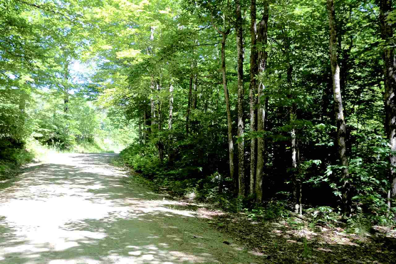 Lot 3 Wiggins Road Danbury, NH 03230 - Photo 5 of 5