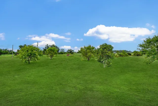 a backyard of a house with lots of green space and mountain view