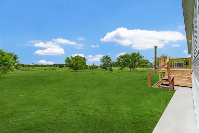 a view of a park with large trees