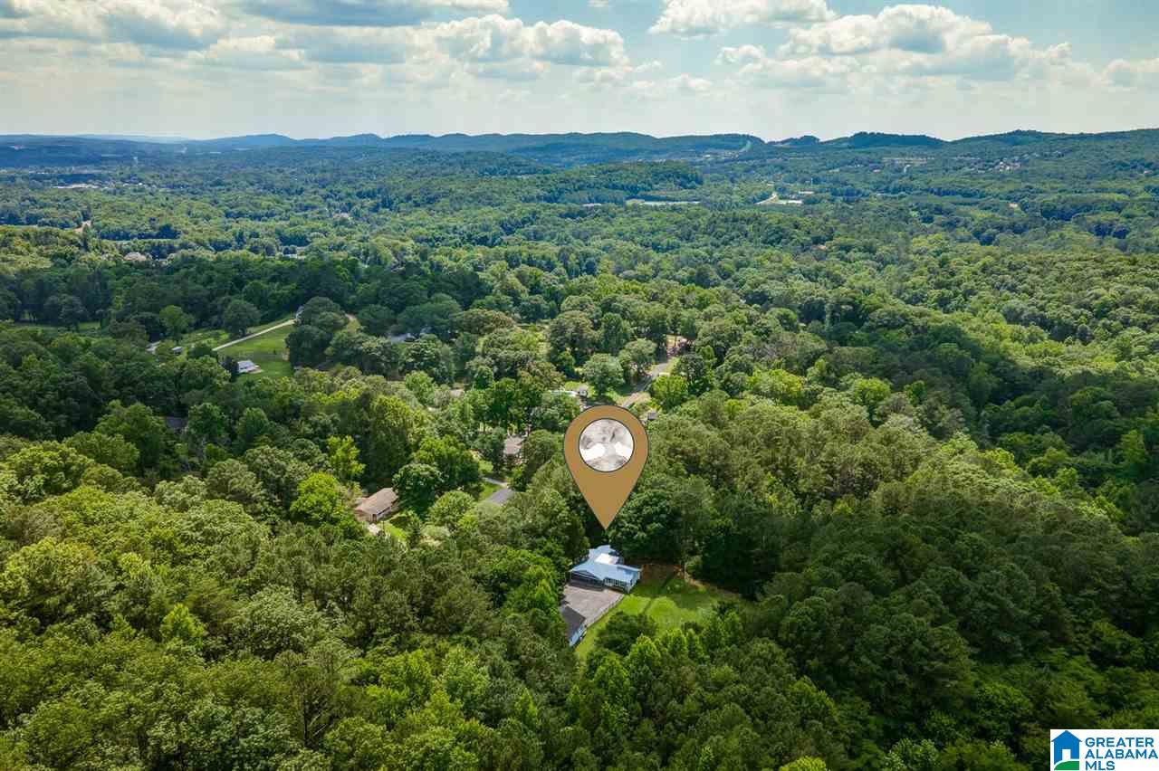 4997 Branchville Road Trussville, AL 35173 - Photo 38 of 39