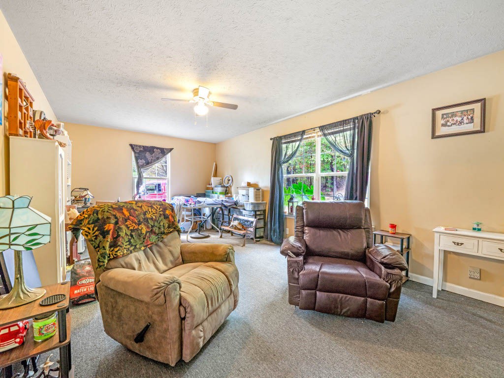 10116 Sneed Road Lyles, TN 37098 - Photo 6 of 19