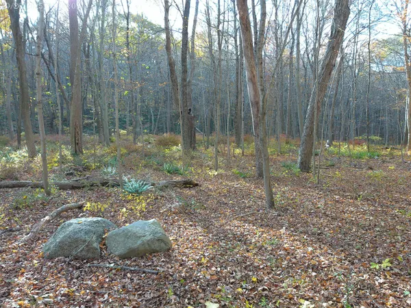 a backyard of a house