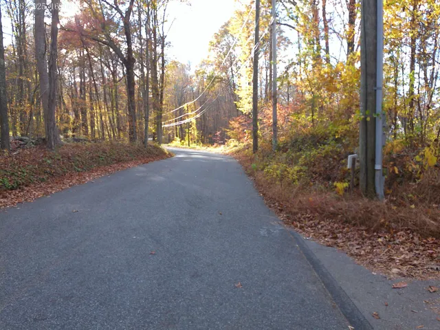 a view of a yard with trees