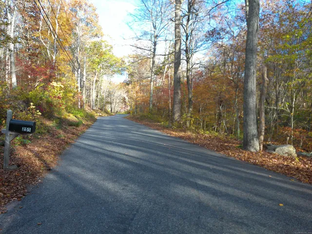 a view of yard along with road and trees