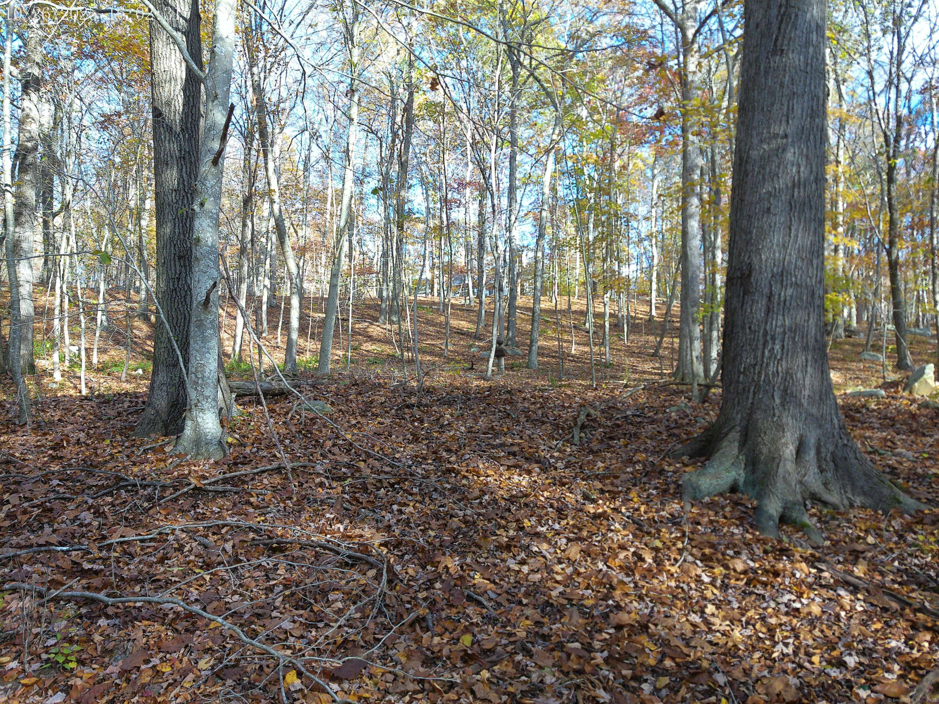 253 Clark Hill Road East Haddam, CT 06423 - Photo 5 of 10