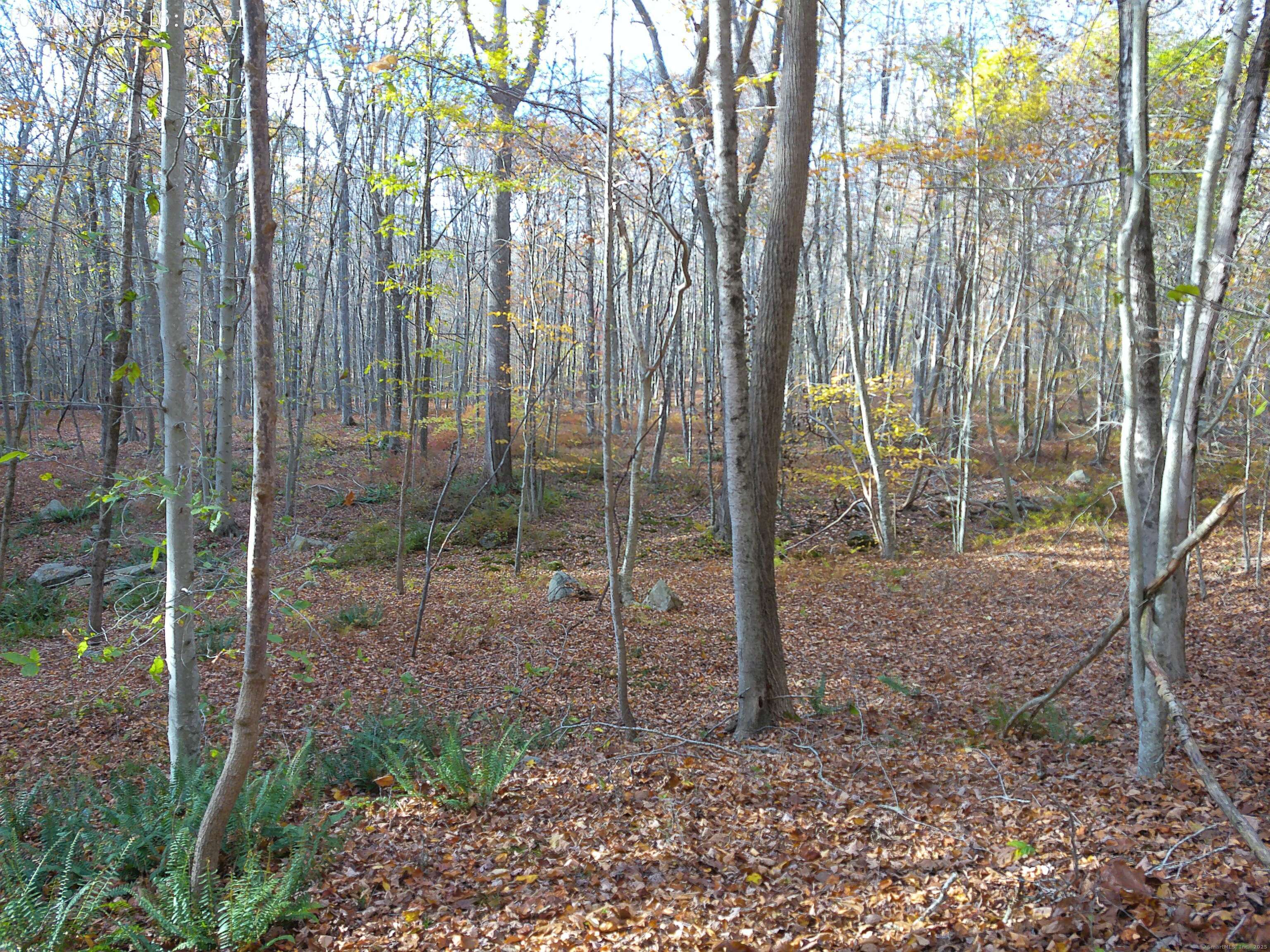 253 Clark Hill Road East Haddam, CT 06423 - Photo 6 of 10