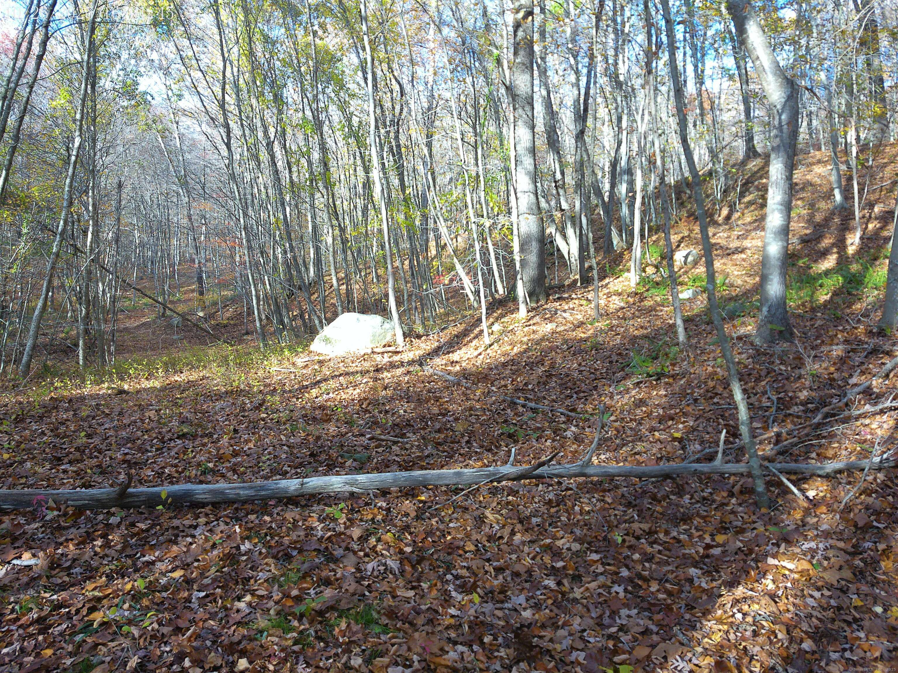 253 Clark Hill Road East Haddam, CT 06423 - Photo 7 of 10