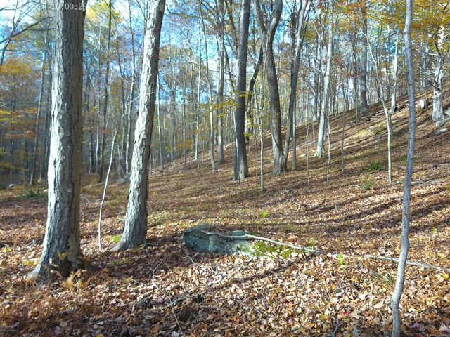 a backyard of a house