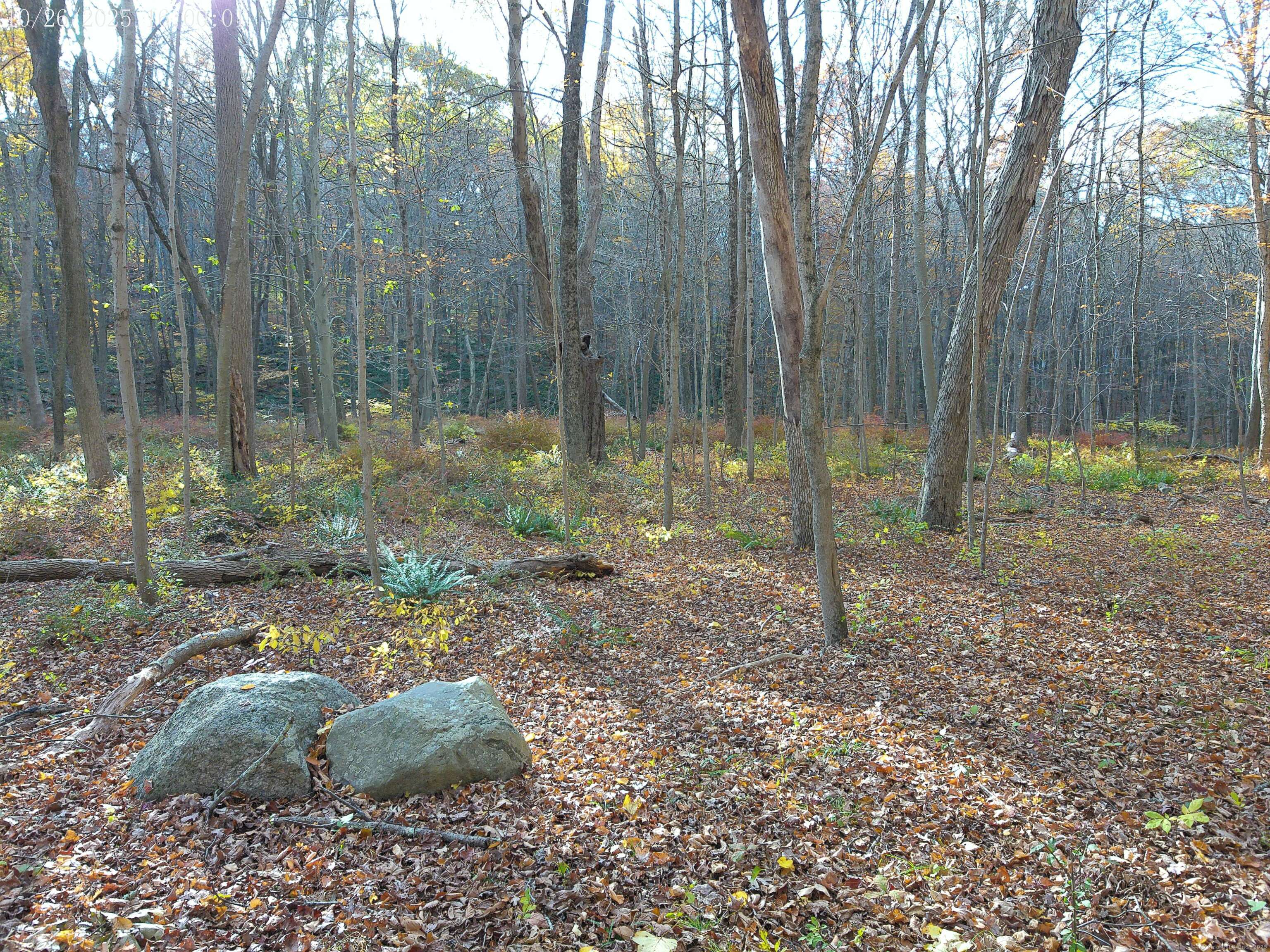 253 Clark Hill Road East Haddam, CT 06423 - Photo 9 of 10