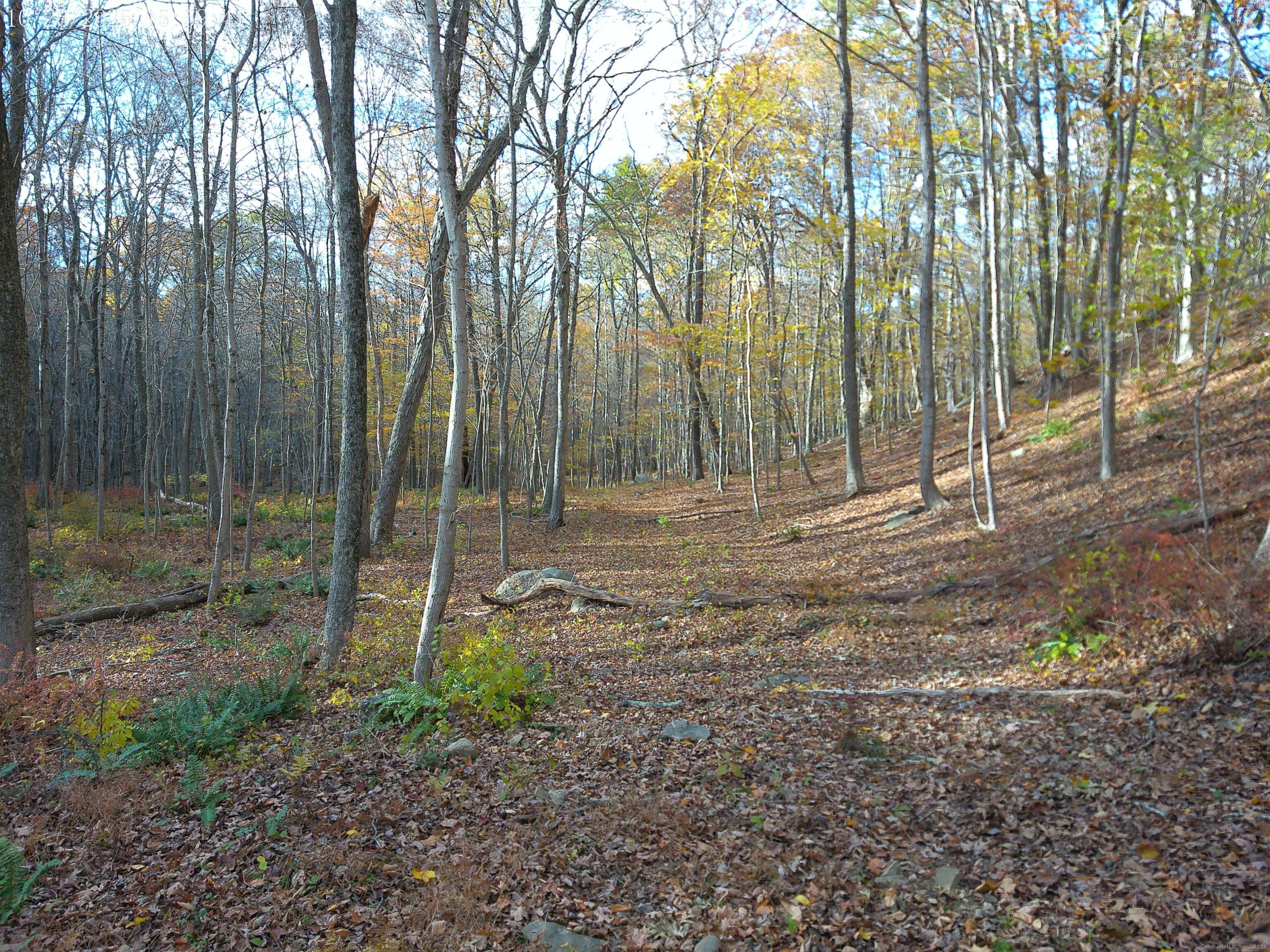 253 Clark Hill Road East Haddam, CT 06423 - Photo 10 of 10