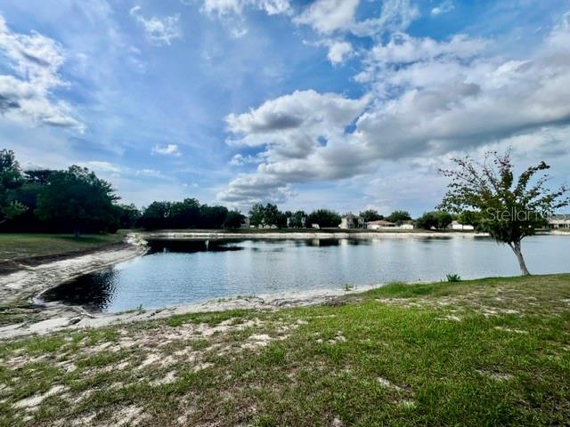15735 Stable Run Drive Spring Hill, FL 34610 - Photo 41 of 45
