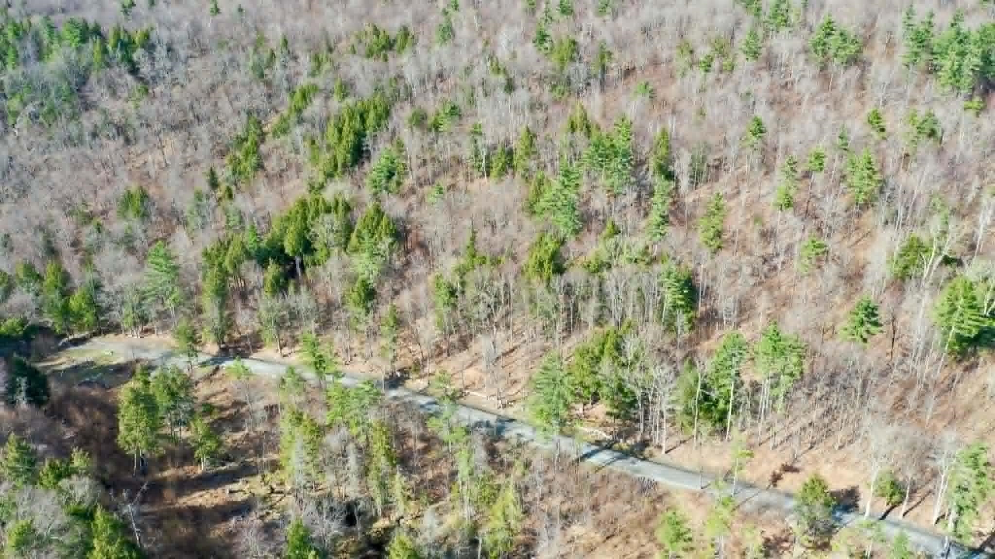 0 Turkey Mountain Road Jamaica, VT 05343 - Photo 20 of 49 Gallery Image 20