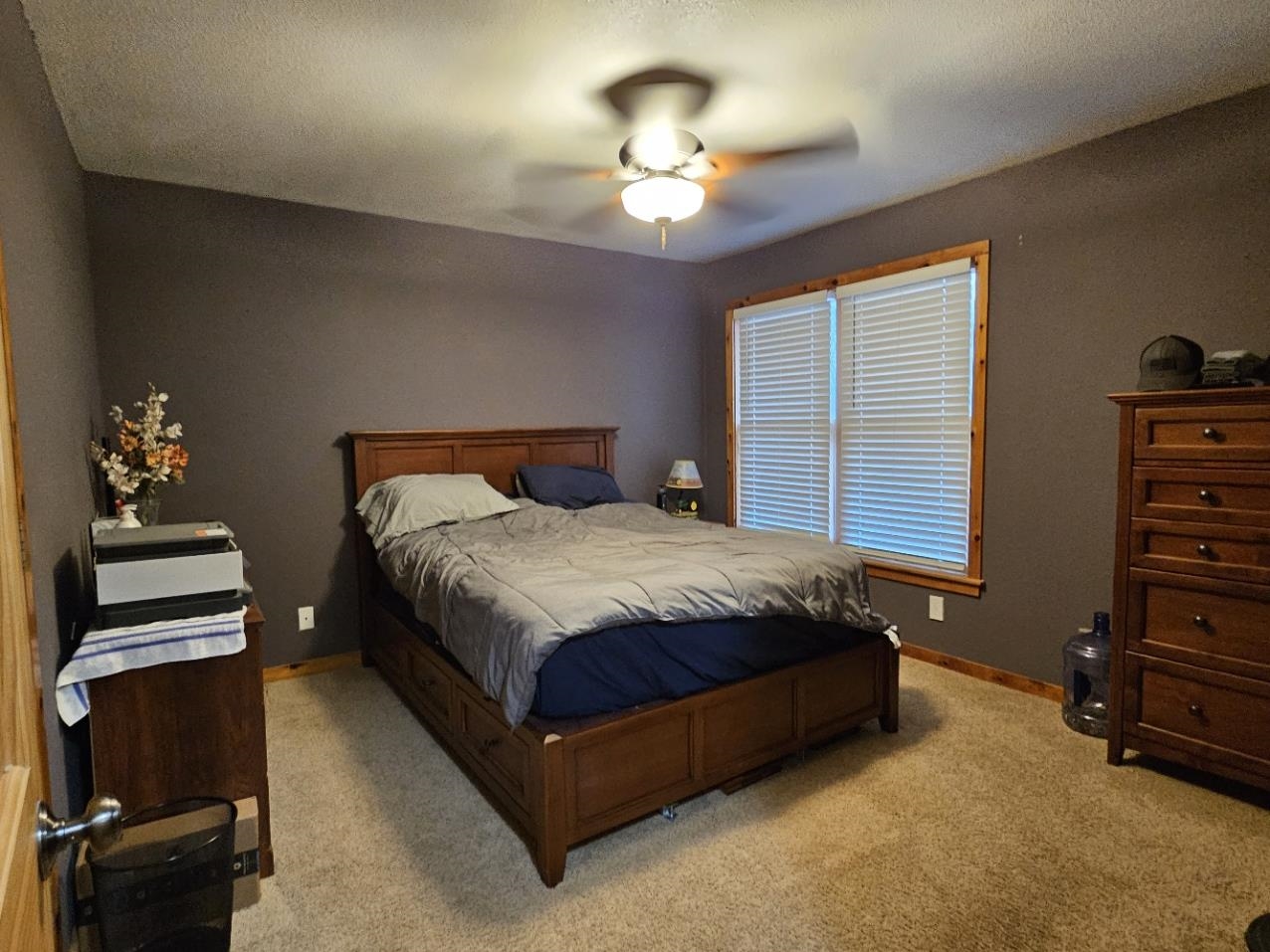 W8244 Rollins Road Mauston, WI 53948 - Photo 19 of 44