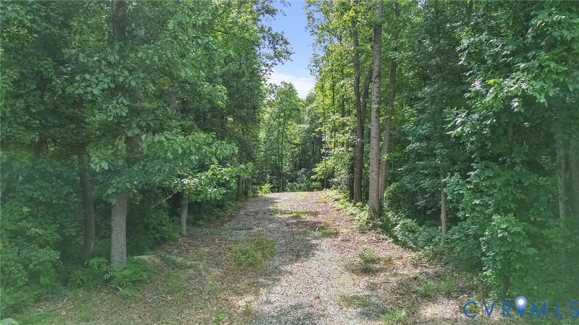 0 Walkerton Road Walkerton, VA 23177 - Photo 2 of 6 a view of outdoor space and trees all around