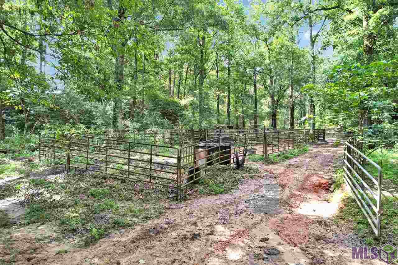 66 Upper Sunlight Road Sandy Hook, MS 39478 - Photo 44 of 48