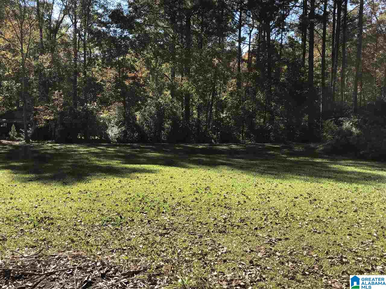 360 Fire Tower Road Cordova, AL 35550 - Photo 4 of 19