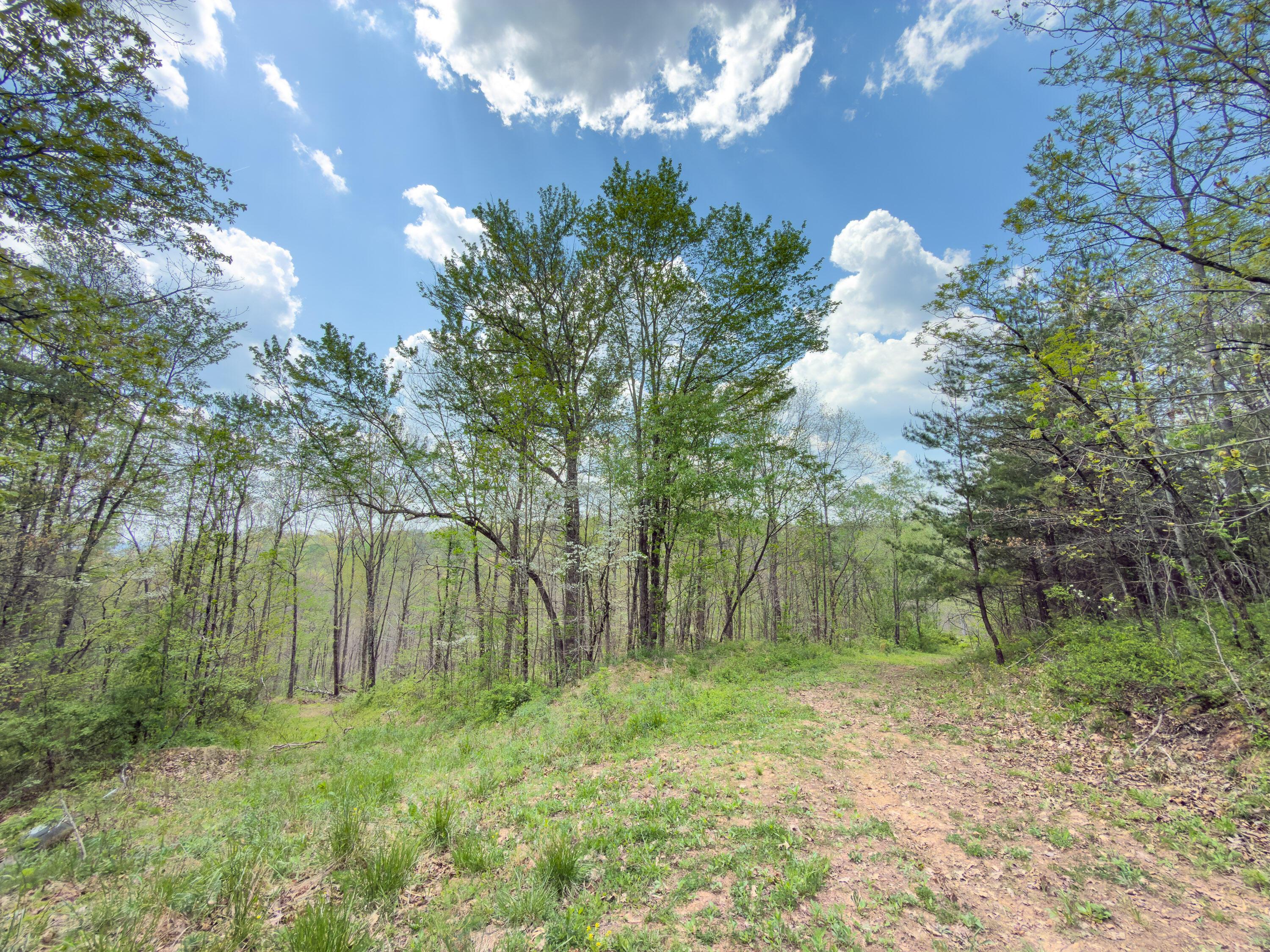 0 Beardmore Road Wingett Run, OH 45789 - Photo 18 of 43 beardmore rd-18