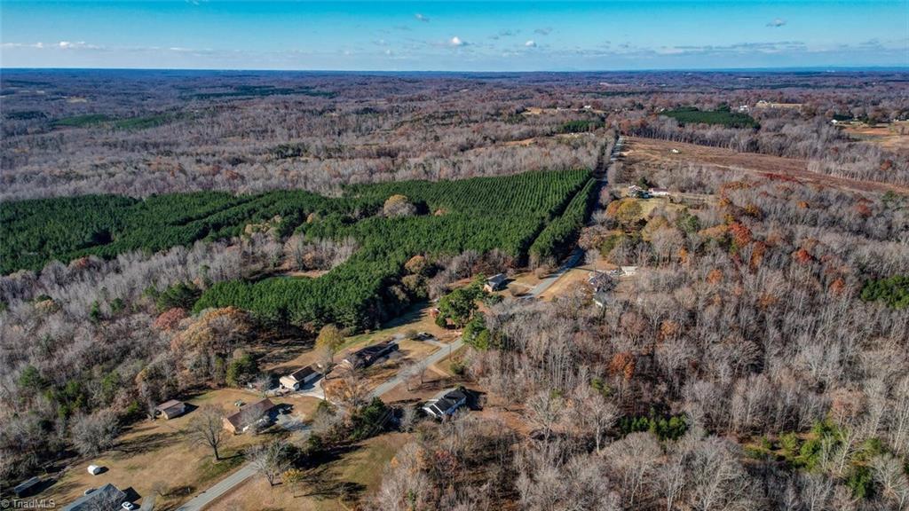 665 Quick Road Ruffin, NC 27326 - Photo 4 of 29 Gallery Image 4