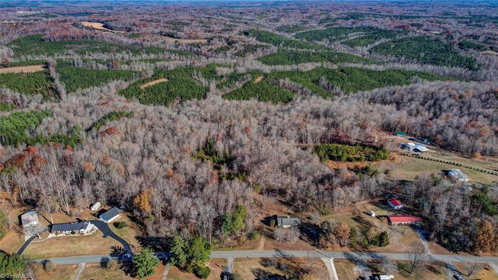 665 Quick Road Ruffin, NC 27326 - Photo 5 of 29 Gallery Image 5