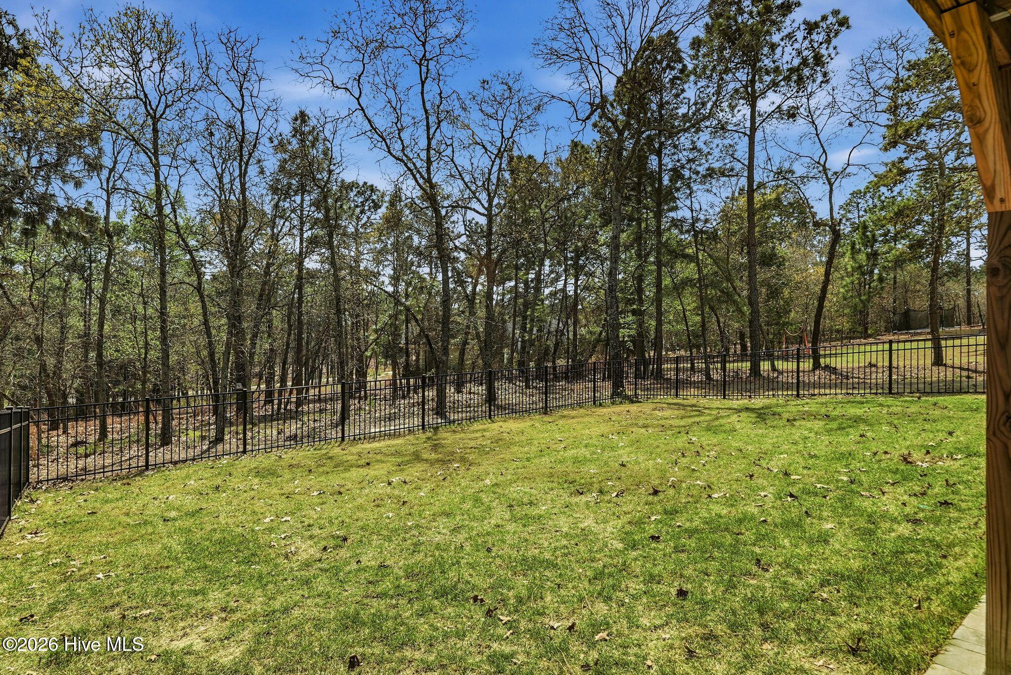 121 Longleaf Drive West End, NC 27376 - Photo 39 of 68 44_DSC02320