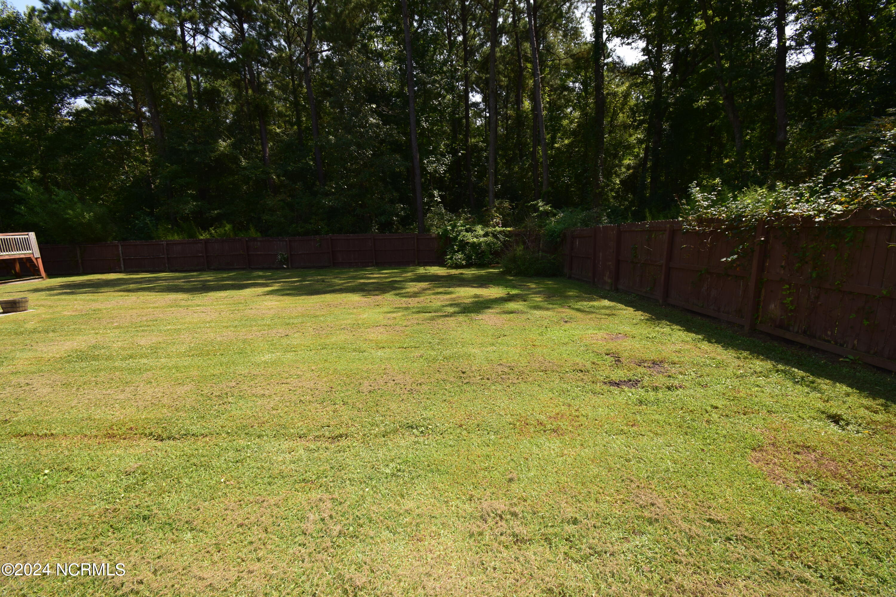 1375 Blue Creek Road Jacksonville, NC 28540 - Photo 44 of 49 DSC_0349