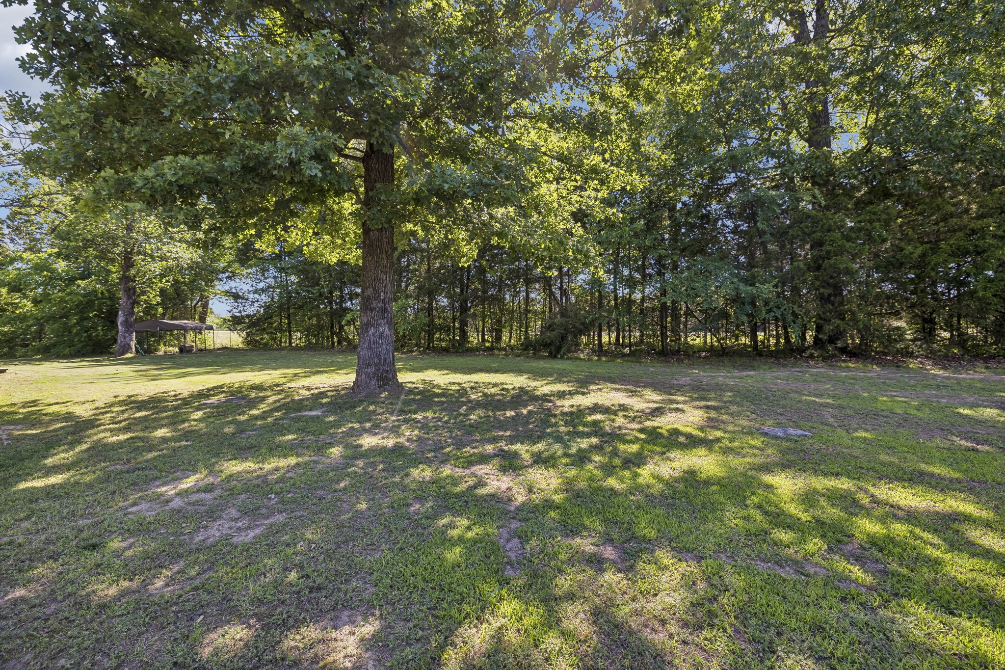364 Eddins Road Lebanon, TN 37090 - Photo 3 of 52