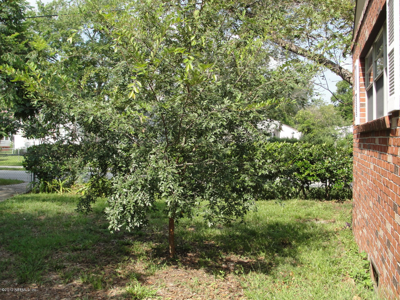 4656 Manchester Road Jacksonville, FL 32210 - Photo 20 of 31 a view of a yard with a tree