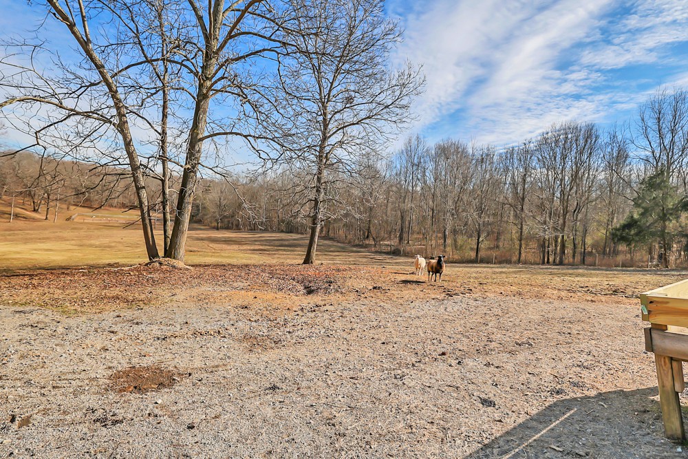 901 Eli Road Bon Aqua, TN 37025 - Photo 7 of 60 Gallery Image 7