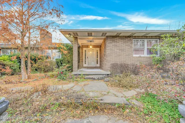a view of a backyard with plants and large trees