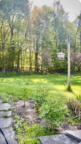 a view of a park with large trees