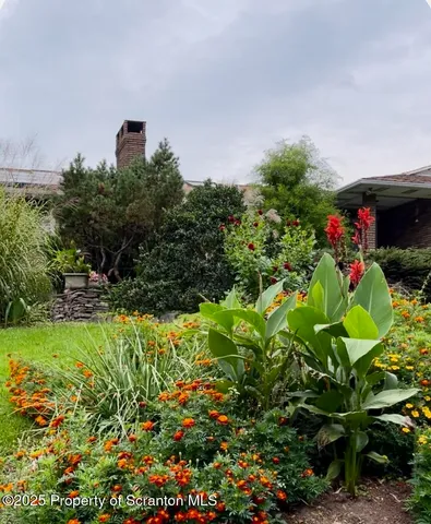 a picture of flowers