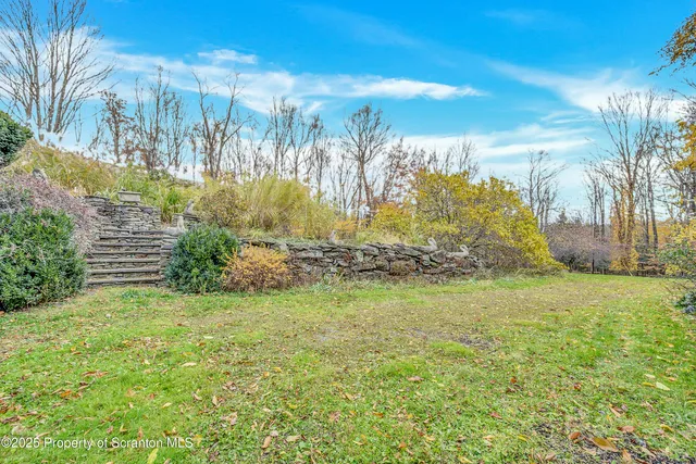 a view of a yard with an tree