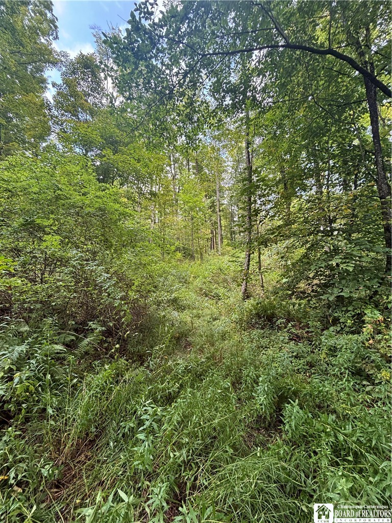 Swain Hill Road Andover, NY 14806 - Photo 38 of 44 Gallery Image 38