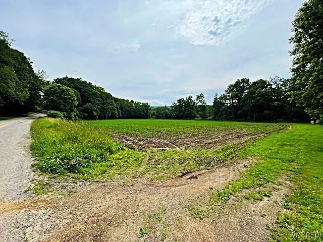 $295,000 | 2473 Bunker Hill Road, Coldspring, NY 14772