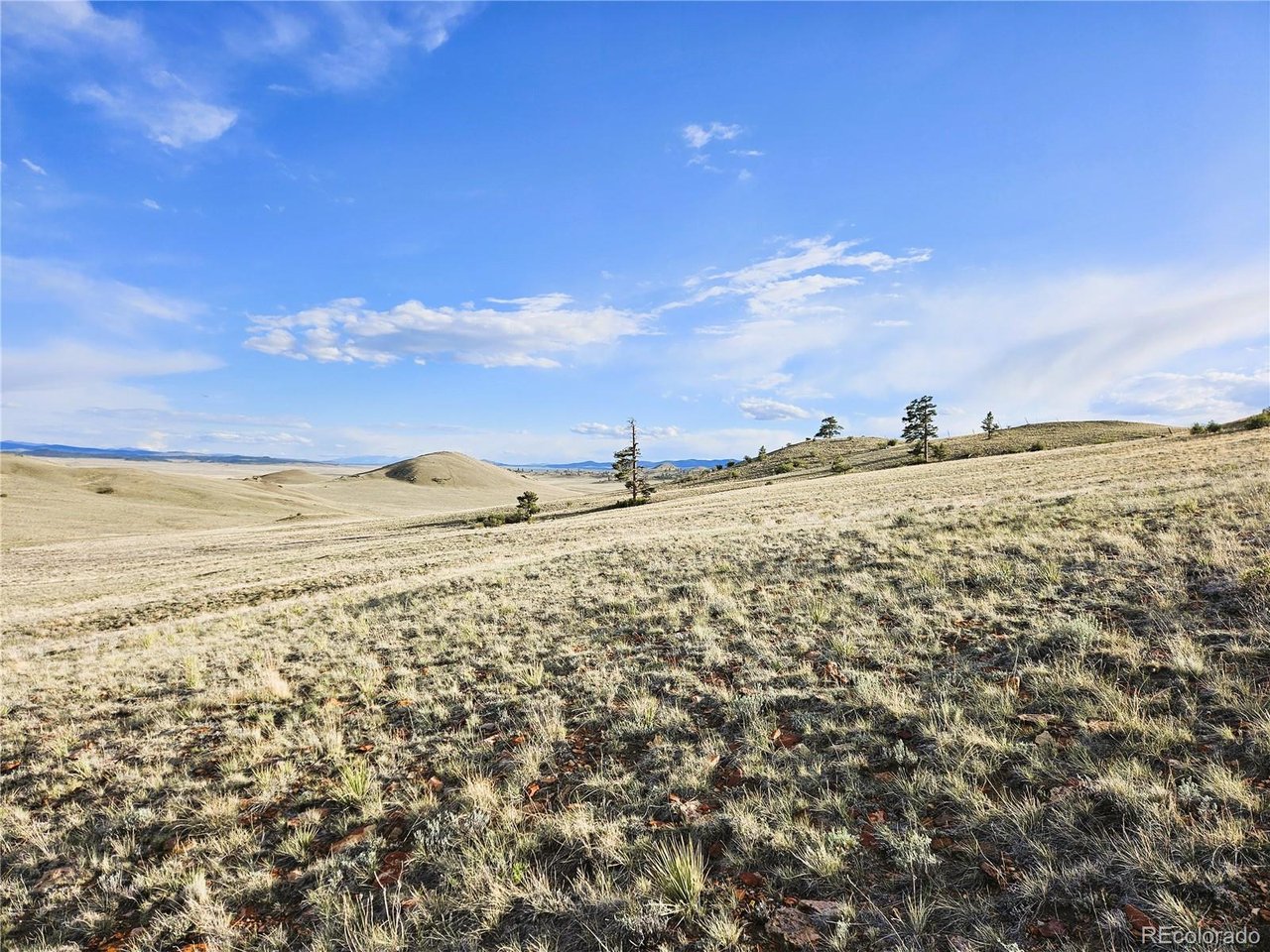 24142 Antero Road Hartsel, CO 80449 - Photo 13 of 48