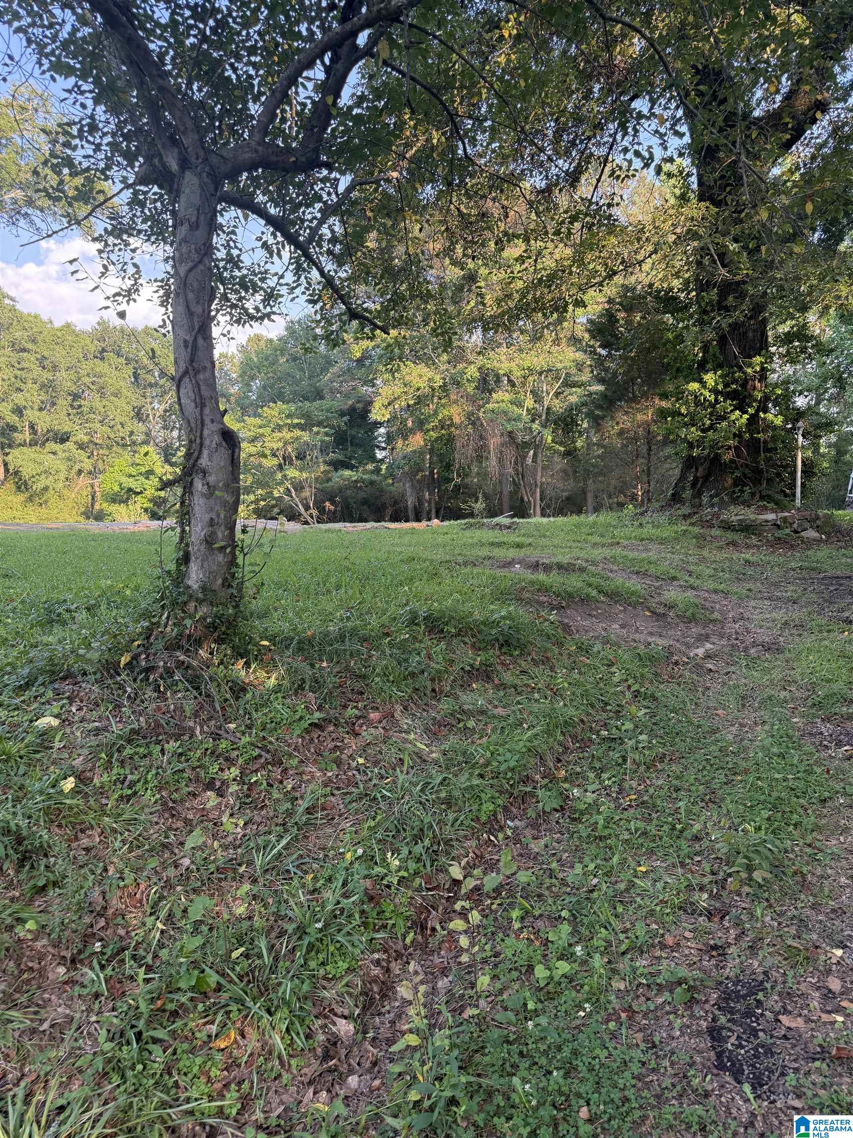 937 Morris Majestic Road, Unit 1 Morris, AL 35116 - Photo 1 of 1