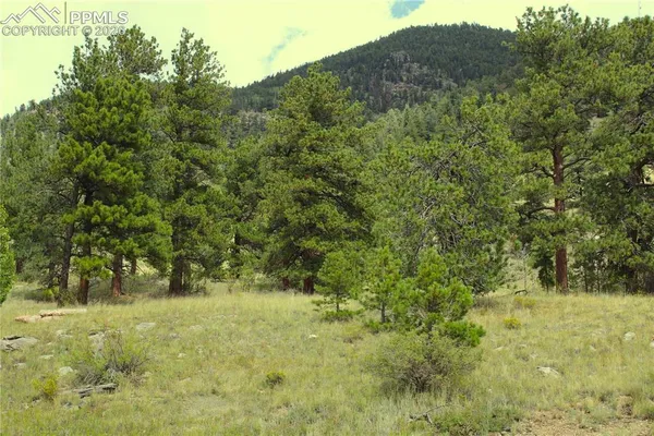 $399,000 | 24 Highway Hartsel Co 80827, Lake George, CO 80827
